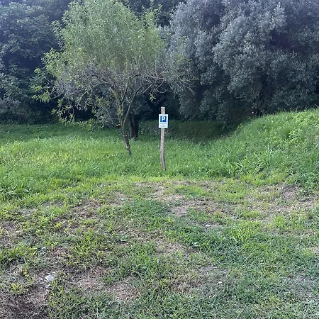 Il Poggio Nel * Varazze